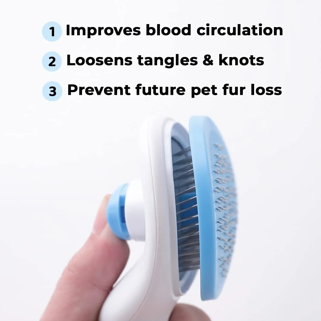 Kuber Industries Dog Brush|Dog Brush for Hair Cleaning|De-tangling|& Grooming|Helps Prevent Fur Loss Upto 90% by Increasing Blood Circulation|Suitable for Small & Medium Pets|PT213B|Pack Of 2|Blue